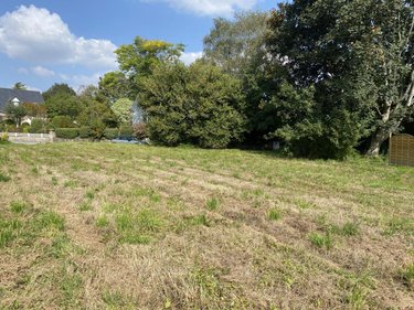 Terrain a batir a vendre Brech 56400 Morbihan 1500 m2  330000 euros