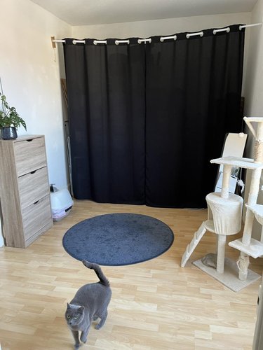 Location appartement Dole 39100 Jura 44 m2  515 euros