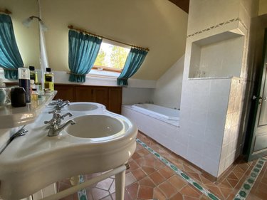 Maison a vendre Pressigny-les-Pins 45290 Loiret 480 m2  850000 euros