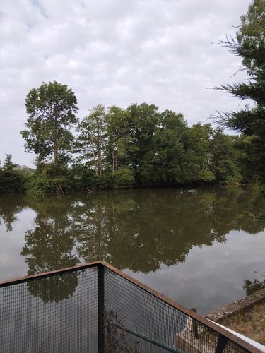 Terrains de loisirs bois etangs a vendre Neuville-sur-Sarthe 72190 Sarthe 470 m2  58300 euros