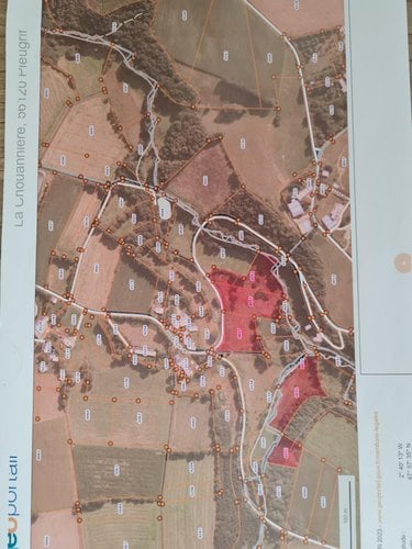 Terrains de loisirs bois etangs a vendre Pleugriffet 56120 Morbihan 28767 m2  11605 euros