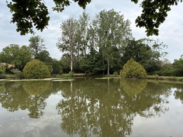 Terrains de loisirs bois etangs a vendre Brée 53150 Mayenne 8114 m2  69000 euros
