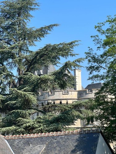 Location maison Vendôme 41100 Loir-et-Cher 73 m2 4 pièces 790 euros