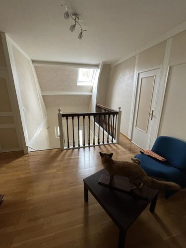 Maison a vendre Ruaudin 72230 Sarthe 196 m2 7 pièces 438000 euros