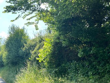 Terrains de loisirs bois etangs a vendre Valorbiquet 14290 Calvados 8050 m2  7500 euros