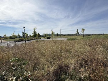 Terrain a batir a vendre Gueux 51390 Marne 1021 m2  323000 euros