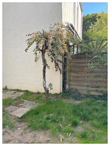 Maison a vendre Angers 49000 Maine-et-Loire 89 m2 5 pièces 216000 euros