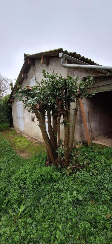 Maison a vendre Vic-Fezensac 32190 Gers 135 m2 7 pièces 171000 euros