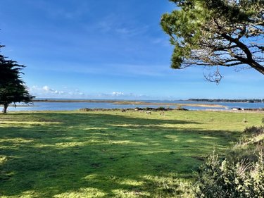 Maison a vendre Locmariaquer 56740 Morbihan 301 m2 10 pièces 1669000 euros