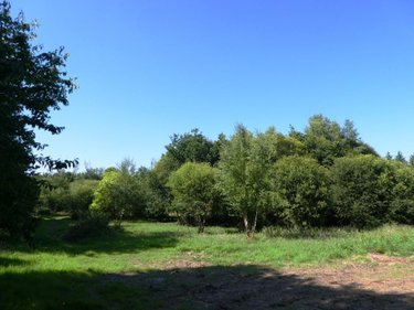 Terrains de loisirs bois etangs a vendre Cléguérec 56480 Morbihan 16640 m2  15990 euros