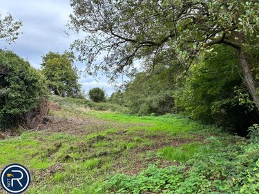 Terrains de loisirs bois etangs a vendre Montaudin 53220 Mayenne 2522 m2  13500 euros