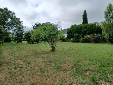 Terrain a batir a vendre Chinon 37500 Indre-et-Loire 1642 m2  64000 euros