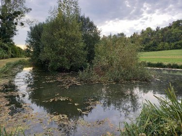 Divers a vendre Muret-et-Crouttes 02210 Aisne 8000 m2  69600 euros