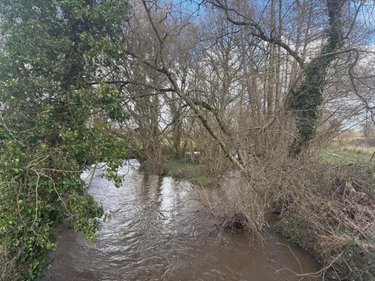 Terrains de loisirs bois etangs a vendre Cuves 50670 Manche 4900 m2  5300 euros
