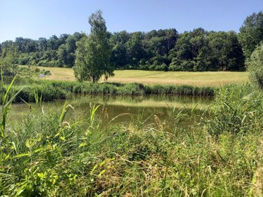 Terrains de loisirs bois etangs a vendre Muret-et-Crouttes 02210 Aisne 4249 m2  34600 euros