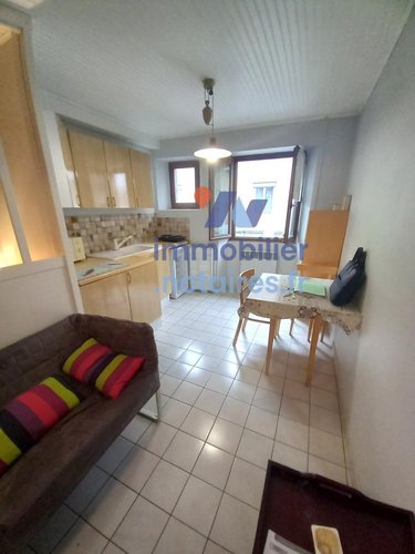 Location appartement Saint-Chély-d'Apcher 48200 Lozère 25 m2  360 euros