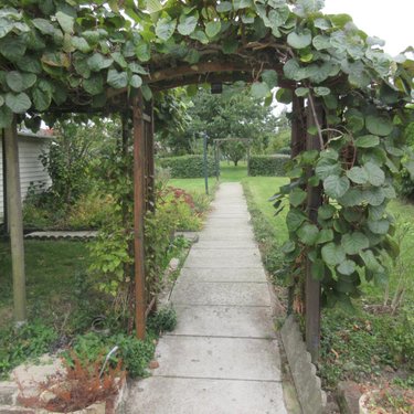 Maison a vendre Bois-Bernard 62320 Pas-de-Calais 119 m2 6 pièces 188000 euros