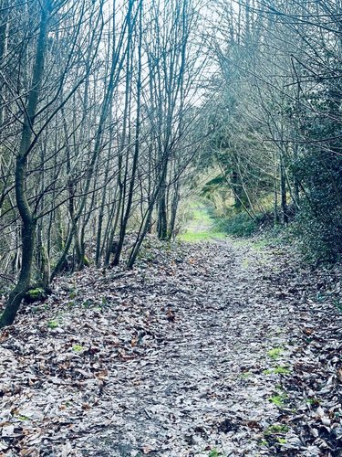 Terrains de loisirs bois etangs a vendre Arzano 29300 Finistère 131500 m2  58600 euros