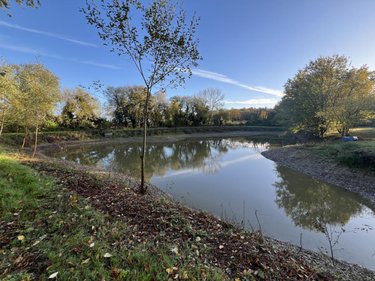 Terrains de loisirs bois etangs a vendre Plumaudan 22350 Côtes-d'Armor 5908 m2  39700 euros