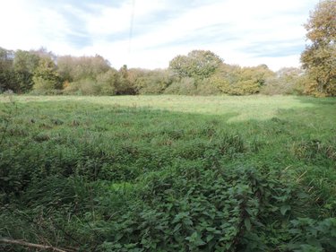 Maison a vendre Plougonver 22810 Côtes-d'Armor 58 m2 3 pièces 48000 euros