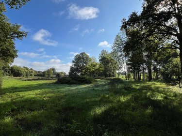 Terrains de loisirs bois etangs a vendre Saint-Christophe-du-Luat 53150 Mayenne 17420 m2  84320 euros