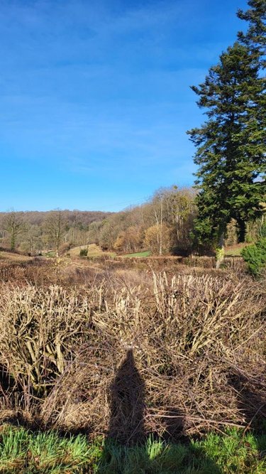 Maison a vendre Ticheville 61120 Orne 40 m2 3 pièces 107000 euros