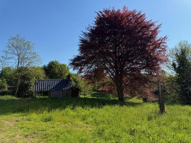Maison a vendre Brécey 50370 Manche 56 m2 3 pièces 85220 euros