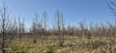 Terrains de loisirs bois etangs a vendre Freigné 44540 Loire-Atlantique 20950 m2  17400 euros