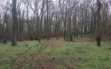 Terrains de loisirs bois etangs a vendre Les Garennes sur Loire 49610 Maine-et-Loire 3438 m2  6500 euros