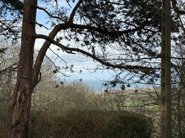 Maison a vendre Fermanville 50840 Manche 270 m2  419000 euros