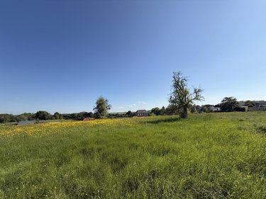 Terrain a batir a vendre Faissault 08270 Ardennes 1232 m2  32000 euros