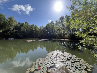 Terrains de loisirs bois etangs a vendre Étouvelles 02000 Aisne 14500 m2  71000 euros