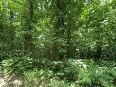 Terrains de loisirs bois etangs a vendre Venansault 85190 Vendée 4523 m2  4800 euros
