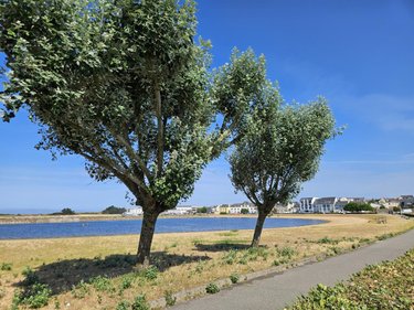 Maison a vendre Étel 56410 Morbihan 236 m2 8 pièces 830600 euros