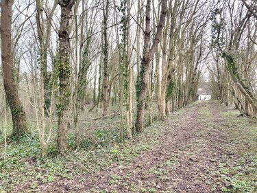 Maison a vendre Belforêt-en-Perche 61130 Orne 90 m2 5 pièces 129320 euros