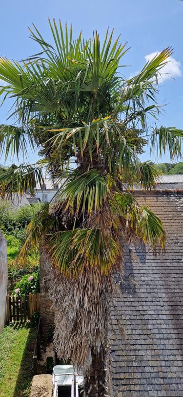 Maison a vendre Île-aux-Moines 56780 Morbihan 61 m2 4 pièces 396100 euros