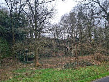 Terrain a batir a vendre Rohan 56580 Morbihan 8566 m2  53000 euros
