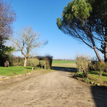 Maison a vendre Moncé-en-Saosnois 72260 Sarthe 189 m2 7 pièces 182000 euros