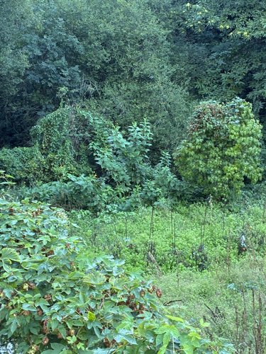 Maison a vendre Salmiech 12120 Aveyron 95 m2 6 pièces 84500 euros