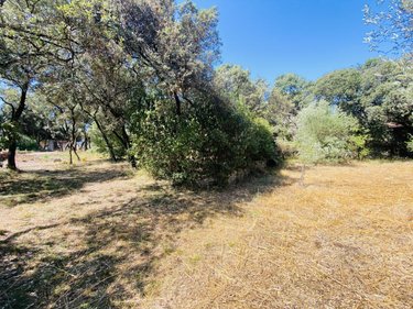 Terrain a batir a vendre Castries 34160 Hérault 800 m2  359850 euros