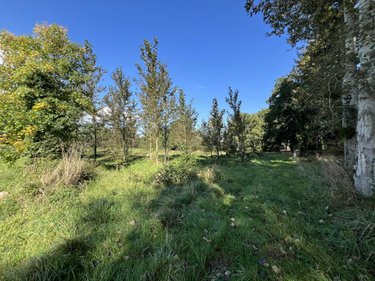 Divers a vendre Caulnes 22350 Côtes-d'Armor 17094 m2  53490 euros