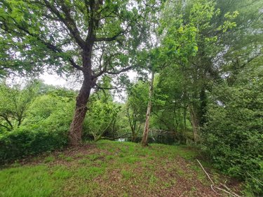 Maison a vendre Pleugriffet 56120 Morbihan 83 m2 4 pièces 89260 euros