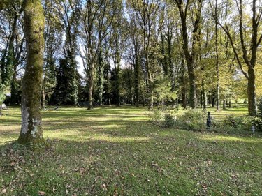 Fonds et murs commerciaux a vendre Locminé 56500 Morbihan 200 m2  364760 euros