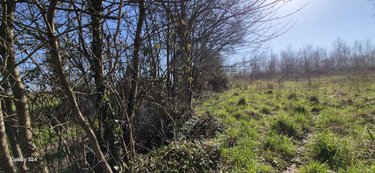 Terrains de loisirs bois etangs a vendre Freigné 44540 Loire-Atlantique 20950 m2  17400 euros