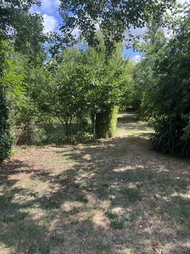 Terrains de loisirs bois etangs a vendre Parçay-sur-Vienne 37220 Indre-et-Loire 7760 m2  23600 euros