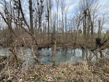 Terrains de loisirs bois etangs a vendre Ferrières-en-Gâtinais 45210 Loiret 3758 m2  34000 euros