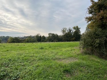 Terrain a batir a vendre Saint-Éloi 01800 Ain 12310 m2  525000 euros