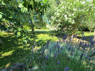 Maison a vendre Pierrelatte 26700 Drôme 112 m2 4 pièces 271700 euros