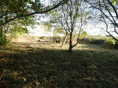Terrain a batir a vendre Saint-Caradec-Trégomel 56540 Morbihan 1030 m2  12790 euros