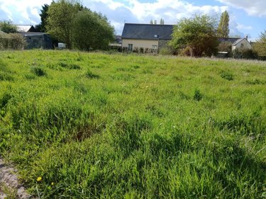 Terrain a batir a vendre Corné 49630 Maine-et-Loire 1006 m2  136150 euros